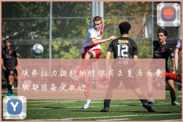 埃弗拉力挺科纳特称其去皇马或曼联都将备受欢迎