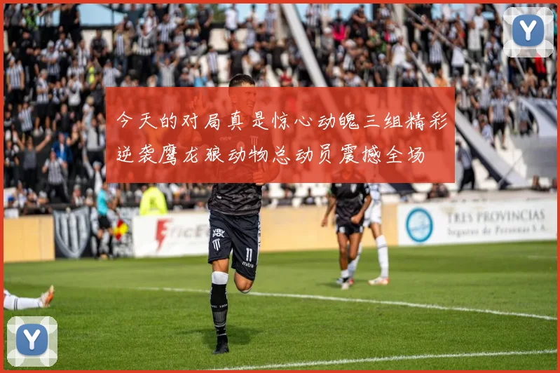 今天的对局真是惊心动魄三组精彩逆袭鹰龙狼动物总动员震撼全场