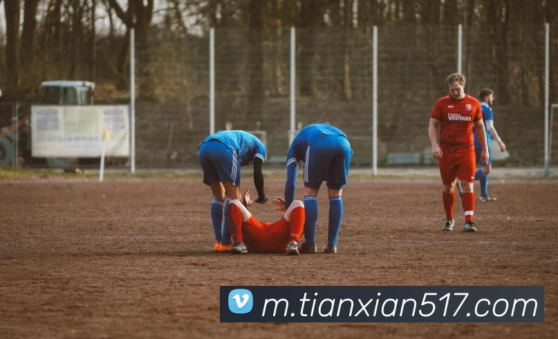 数据分析功能